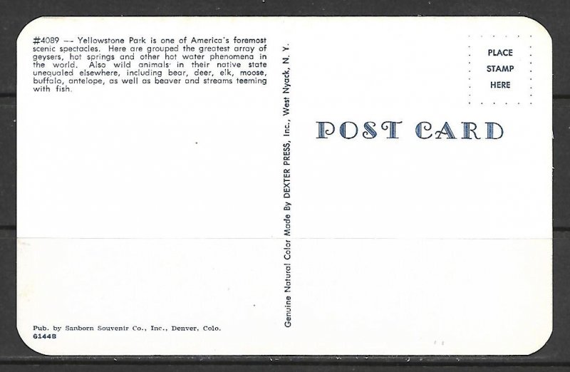 Wyoming, Yellowstone - Greetings From - [WY-073]