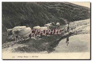 Old Postcard Folklore Basque hitch Oxen