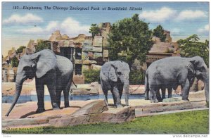 BROOKFIELD, Illinois, PU-1944; Elephants, The Chicago Zoological Park