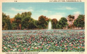 Vintage Postcard Lily Lake City Park Lake Of Lilies US Parkersburg West Virginia