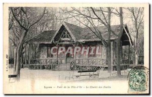 Old Postcard Lyon Park Tete The Golden Bits of Chalet