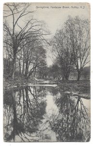 Springtime Yantacaw Brook, Nutley, New Jersey Divided Back Postcard, Mailed 1907