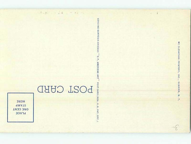 Unused Linen POSTCARD FROM Dunkirk New York NY HM9518