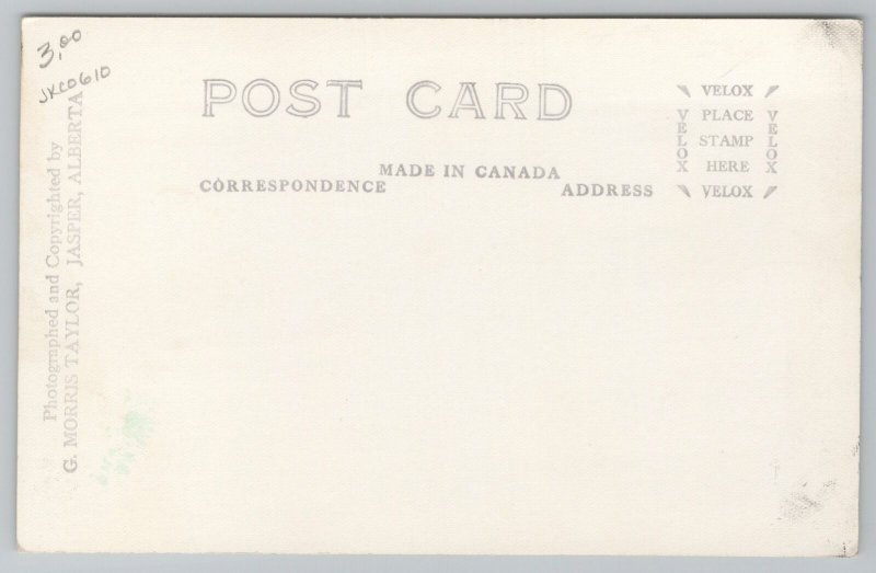 Real Photo Postcard~Mountain Goat On Mountain~RPPC 