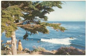 Carmel Coastline, Monterey Peninsula CA, Vintage American Airlines Postcard