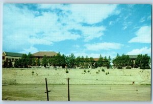 Butte Montana MT Postcard Montana State College Mines Exterior View Tree Lined