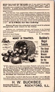 US Postal Card 1c Sherman advert Buckbee's Seed Farm Rockford IL