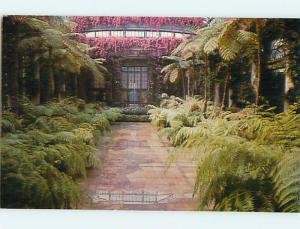 Unused 1950's STAGE AT LONGWOOD GARDENS Kennett Square Pennsylvania PA r9466