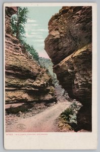 Colorado~View On Road In William's Canon~Vintage Postcard 