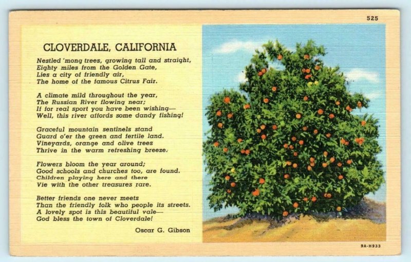 CLOVERDALE, California ~ ORANGE TREE Home of Citrus Fair Sonoma County Postcard