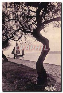 Old Postcard La Rochelle Promenade des Tamaris