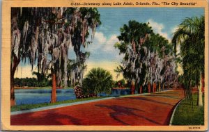 USA Driveway Along Lake Adair Orlando Florida Linen Postcard 09.96