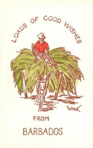 Foreign Postcard c1940s BARBADOS Loads of Good Wishes Mule Man 16