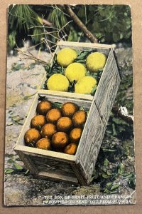 1917 USED POSTCARD -  BOX OF ORANGES & GRAPE FRUIT FROM FLORIDA H & W B DREW CO.