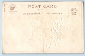 Christmas Postcard Cute Cat Kittens Mistletoe Clapsaddle Embossed c1910's