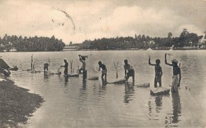 Sri Lanka Dhoby in Colombo Lake Ceylon Vintage Postcard 07.93