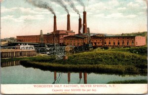 Postcard Worcester Salt Factory in Silver Springs, New York~134894