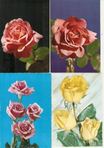 Beautiful Roses  Nice set of four (4) Spanish photo  Postcards 1960s