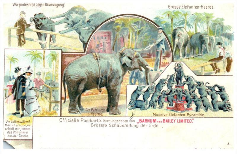 21919 Barnum and Bailey  Limited    Elephants