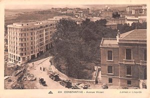 Avenue Viviani Algeria Postcard