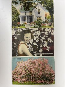 Hot Springs National Park AK America's Spa Souvenir Postcard Booklet 18 Photos