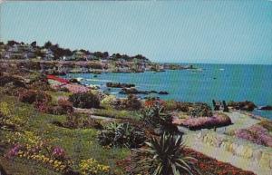 Pacific Grove Monterey Peninsula California