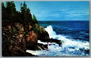 Postcard Acadia National Park ME c1960s Otter Cliff Bar Harbor Surf Breaking