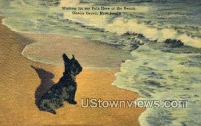 Black Dog On Beach - Ocean Grove, New Jersey NJ  