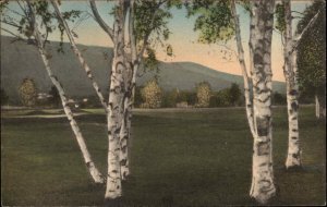 Manchester Vermont VT Ekwanok Country Club Albertype Vintage Postcard