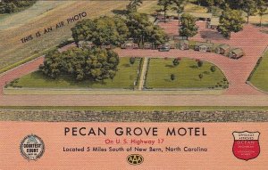 Postcard Pecan Grove Motel South of New Bern NC