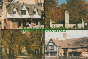 Northamptonshire Postcard - Wellingborough War Memorial, The Golden Lion RR19869