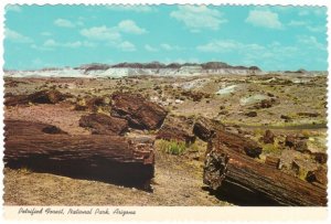 Long Logs, Petrified Forest National Park, Arizona, Chrome Postcard
