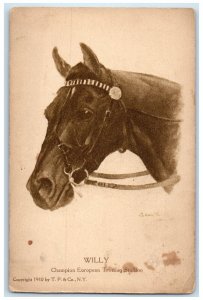 c1910's Willy Champion Of European Trotting Stallion Horse Animals Postcard