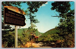 Parks~Vista of Delaware Water Gap Pennsylvania~Vintage Postcard