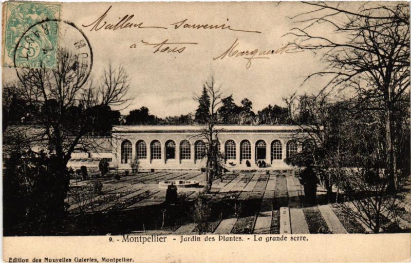 CPA MONTPELLIER - Jardin des Plantes - La Grande serre (518718)
