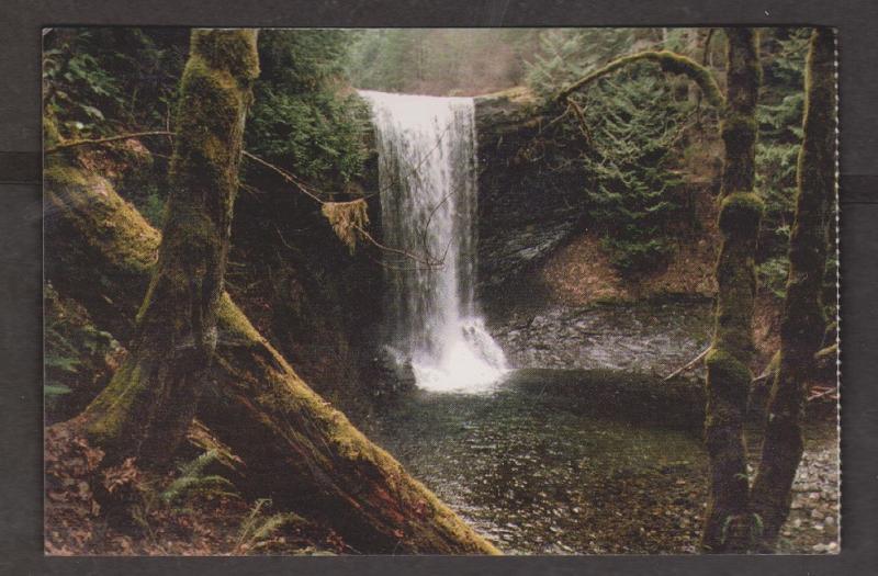 Waterfall In Old Growth Rain Forest Near Nanaimo, BC - Unused c1980