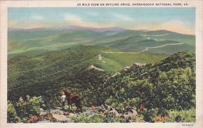 Virginia 25 Mile View On Skyline Drive Shenandoah National Park Curteich