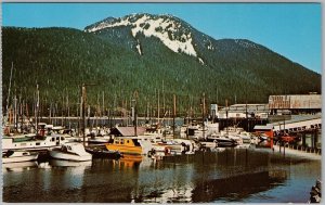 Petersburg Alaska Postcard Harbor & Mountain Little Norway Scenic View H83