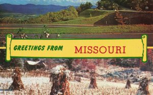 Postcard Greetings From Missouri Posted 1965