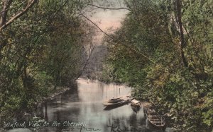 Vintage Postcard Oxford View Of The Cherwell River Thames England F. Fifth & Co.