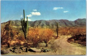 VINTAGE POSTCARD VIEW AT SOUTH MOUNTAIN PARK SOUTH OF PHOENIX ARIZONA 1970s