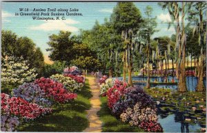 Postcard GARDEN SCENE Wilmington North Carolina NC AK4034