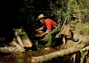 Propector Gold Panning British Columbia Canada