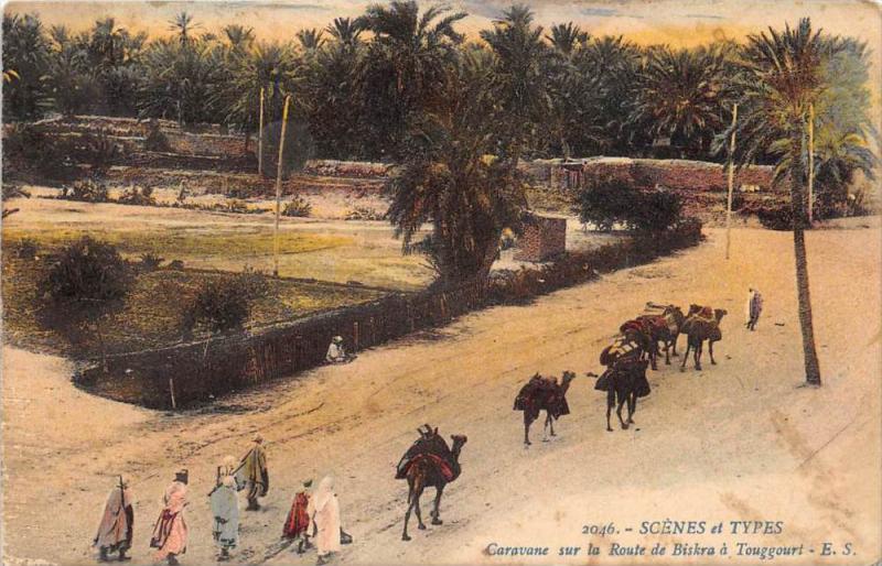 Algeria  Camel  Caravans sur la Route de Biskra a Touggouri