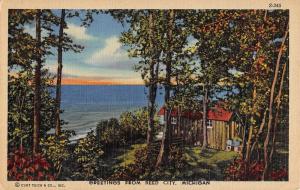 Reed City Michigan Scenic View Greeting Antique Postcard K88528
