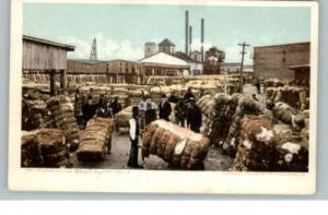 BLACK AMERICANA Weighing Cotton c1905 Detroit Pub PC