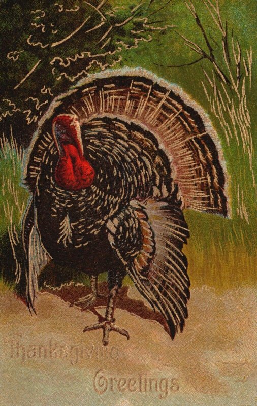 Vintage Postcard 1910'S Thanksgiving Greetings Turkey Holiday Wishes Souvenir
