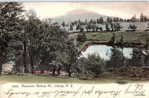 Postcard PANORAMIC SCENE Liberty New York NY AJ3949