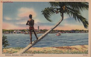 Postcard Nassau Bahamas from Hog Island