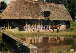 Postcard Modern Charm and colors of Normandy Normandy Farm